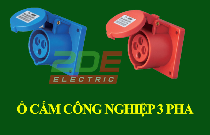 ổ cắm công nghiệp 3 pha chính hãng